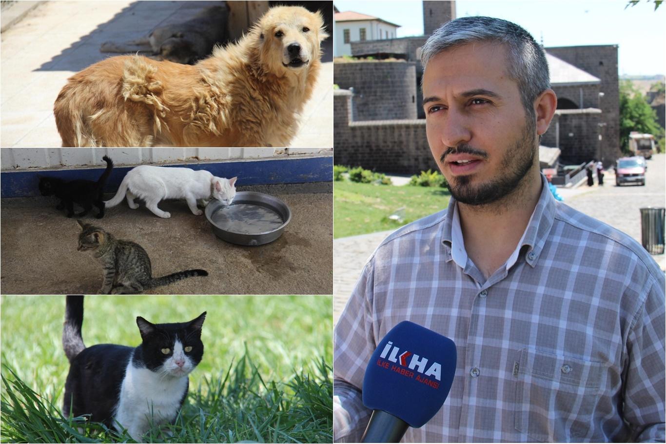 "Konuşamayan hayvanlar hakkında Allah’tan korkun" "Konuşamayan hayvanlar hakkında Allah’tan korkun"
